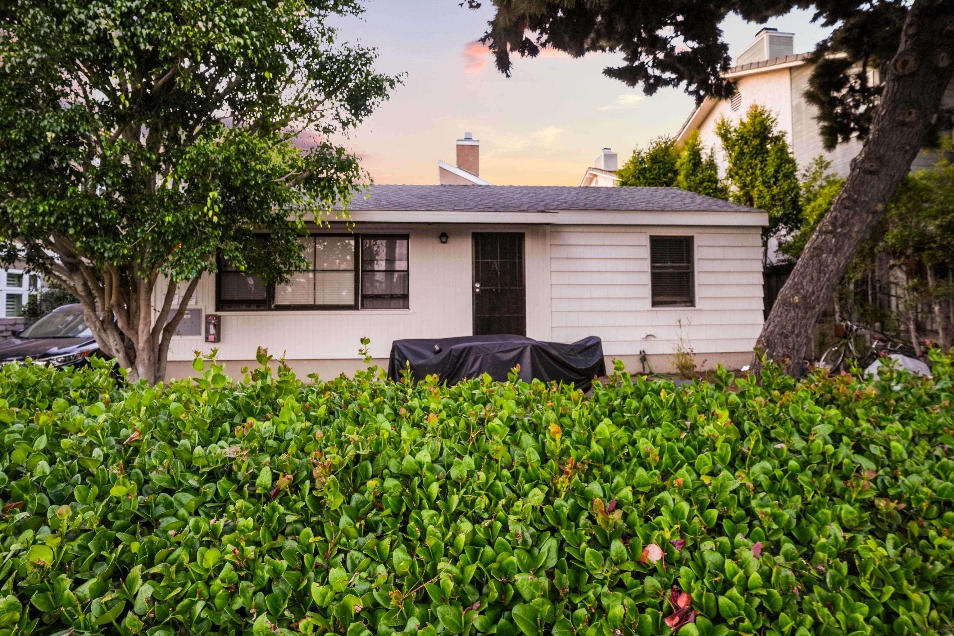 Front detached house at 1228 Grand Ave in Pacific Beach at dusk, a white single-level bungalow behind a mature tree and privacy hedge