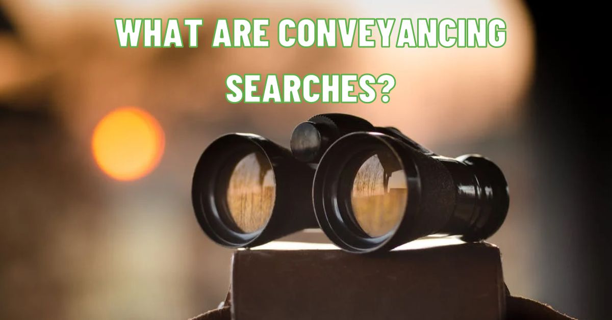 What Are Conveyancing Searches?